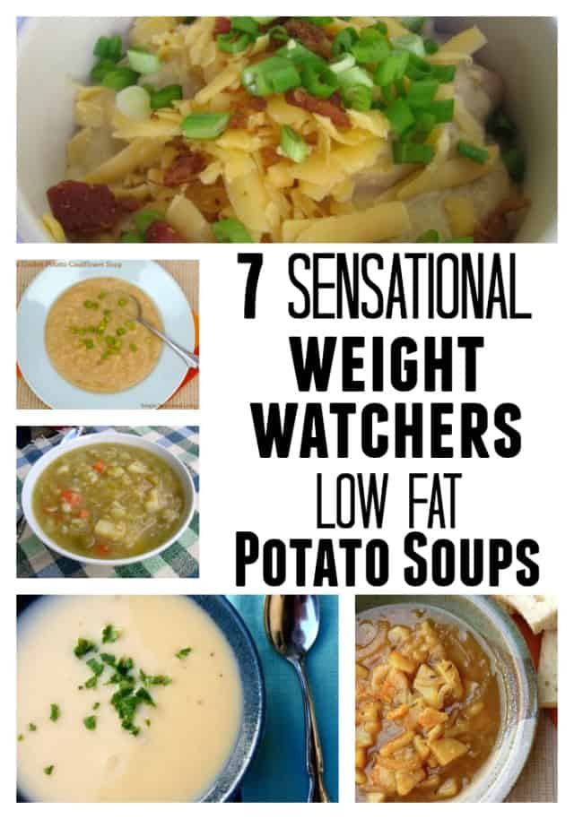 Low Calorie Soup Recipes For Weight Loss
 Weight Watchers Recipes Potato Soups with Low Points Plus