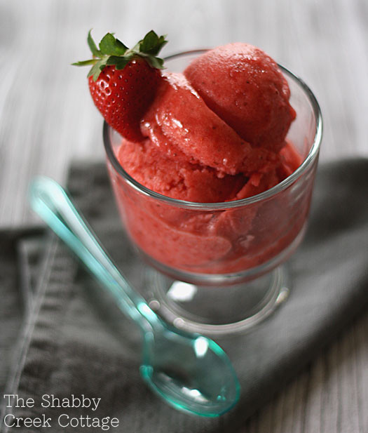 Low Calorie Strawberry Desserts
 Low Calorie Dessert Strawberry Sorbet Recipe