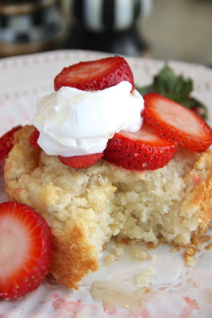 Low Calorie Strawberry Shortcake
 Skinny Strawberry Shortcake Skinny Girl Standard