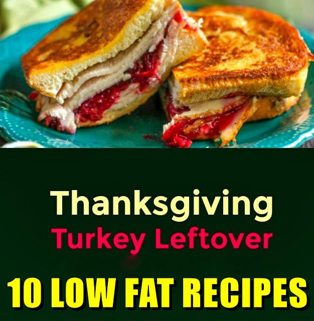 Low Calorie Thanksgiving Recipes
 10 Low Fat recipes for leftover Thanksgiving turkey
