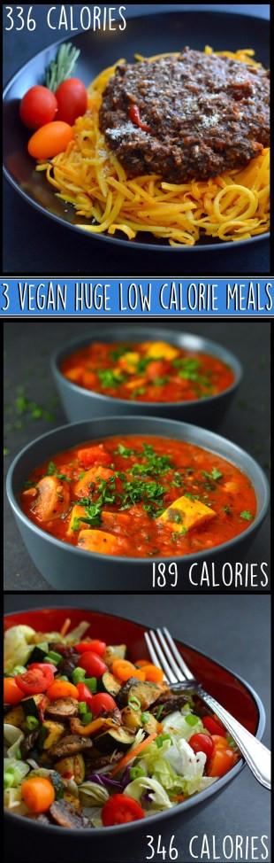 Low Calorie Vegan Recipes
 3 Vegan Huge Low Calorie Meals 1 – Rich Bitch Cooking