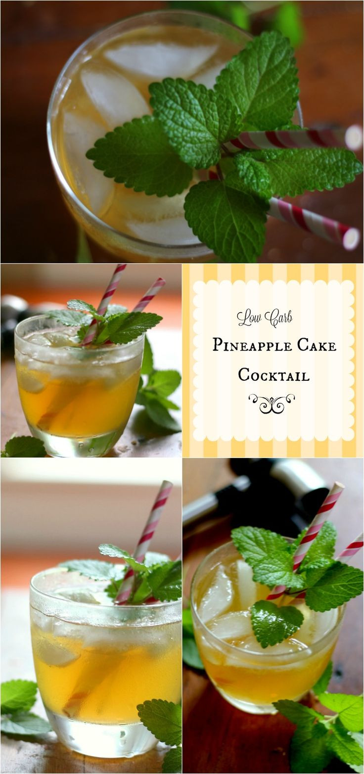 Low Carb Alcoholic Drink Recipes
 17 Best images about Low Carb Gluten Free Beverages