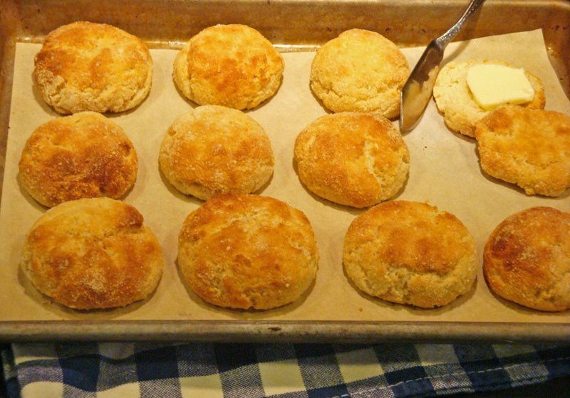 Low Carb Biscuit Recipe
 SPLENDID LOW CARBING BY JENNIFER ELOFF A New Gluten Free