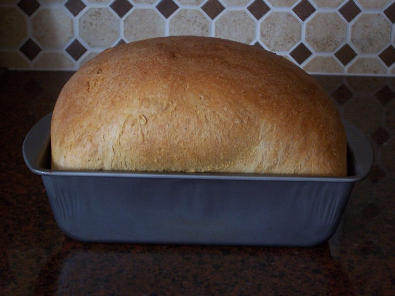 Low Carb Bread Machine Yeast Recipes
 Low Carb Homemade Bread Recipe by Pam CookEat