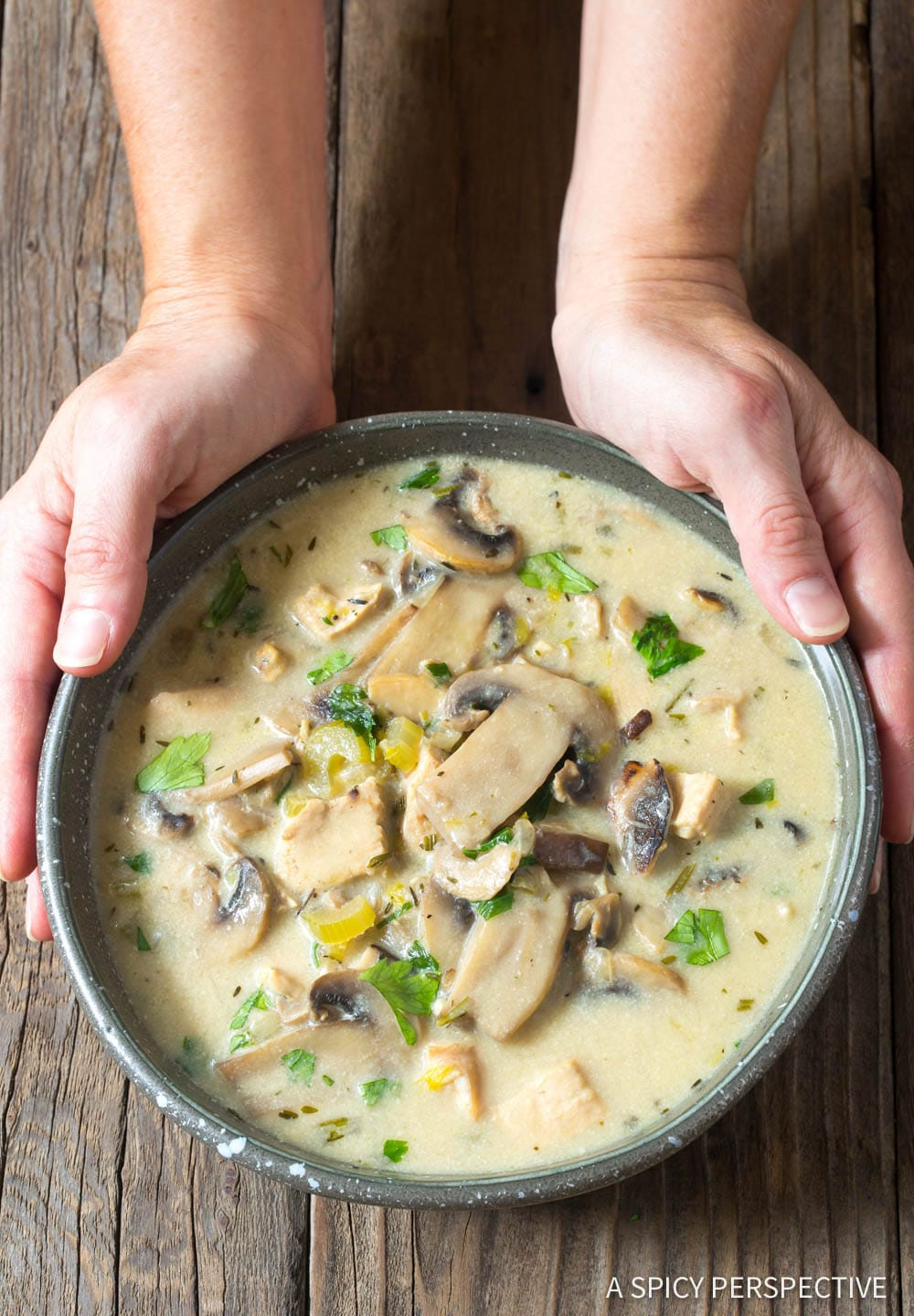 Low Carb Chicken And Mushroom Recipes
 Low Carb Creamy Chicken Mushroom Soup Video A Spicy