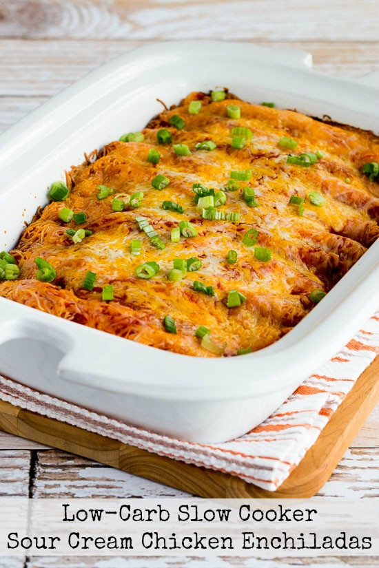 Low Carb Chicken Enchiladas
 Kalyn s Kitchen Low Carb Slow Cooker Sour Cream Chicken