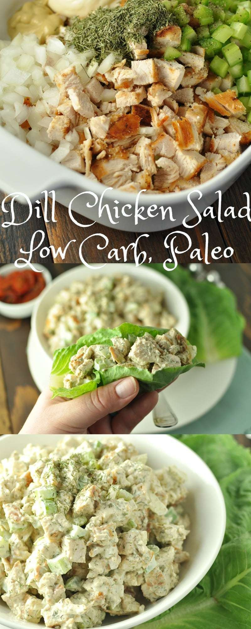 Low Carb Chicken Salad
 Dill Chicken Salad Low Carb Paleo