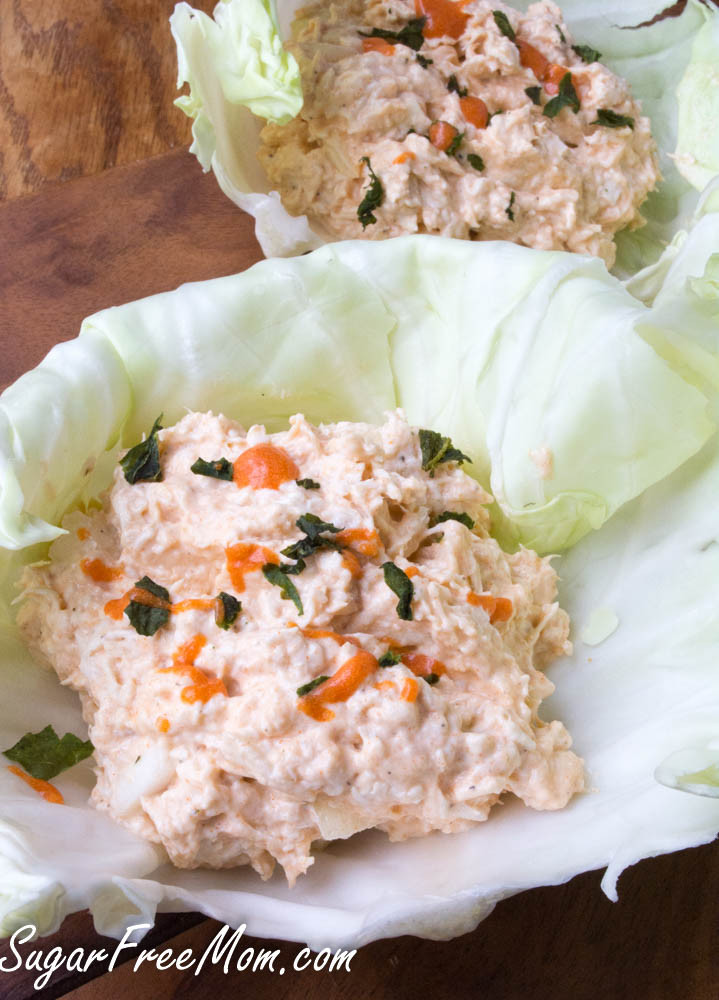 Low Carb Chicken Salad
 Low Carb Buffalo Ranch Chicken Salad Lettuce Wraps