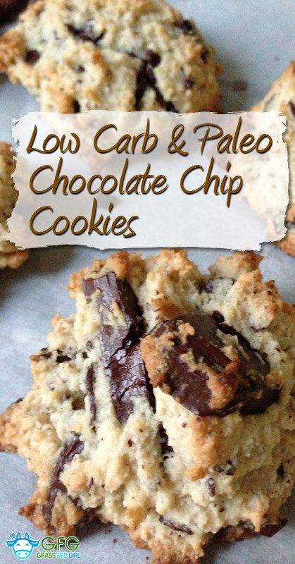 Low Carb Chocolate Chip Cookies Recipes
 Low Carb and Paleo Chocolate Chip Cookie Recipe