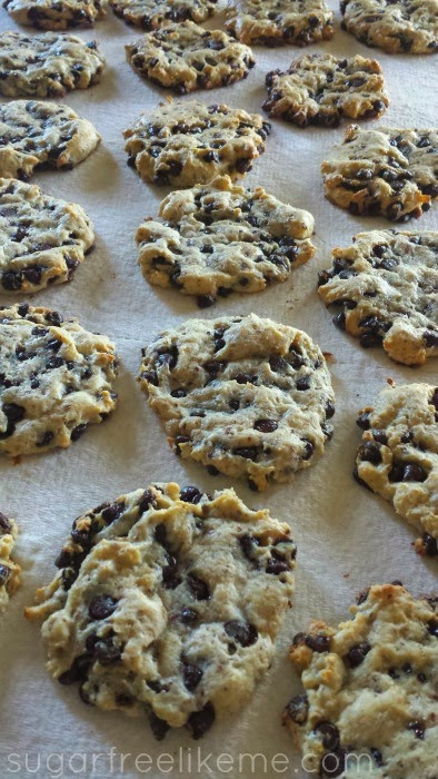 Low Carb Chocolate Chip Cookies Recipes
 Sugar Free Like Me Low Carb Chocolate Chip Cookies