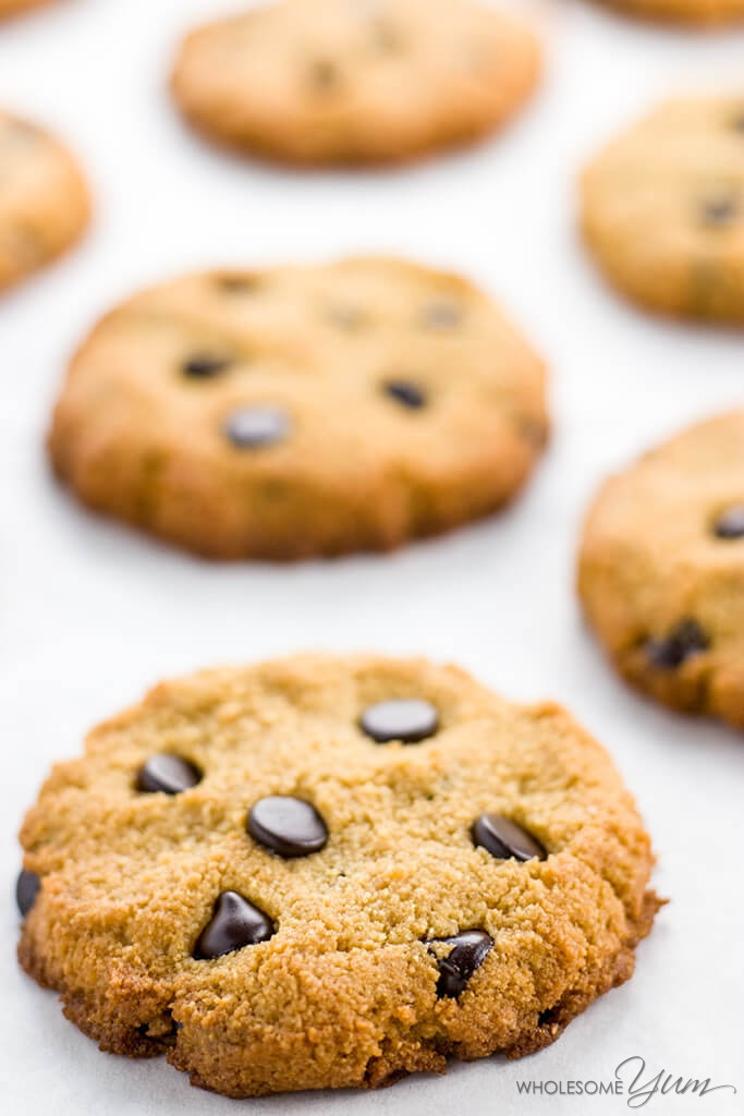 Low Carb Chocolate Chip Cookies Recipes
 Sugar free Low Carb Chocolate Chip Cookies Recipe Paleo