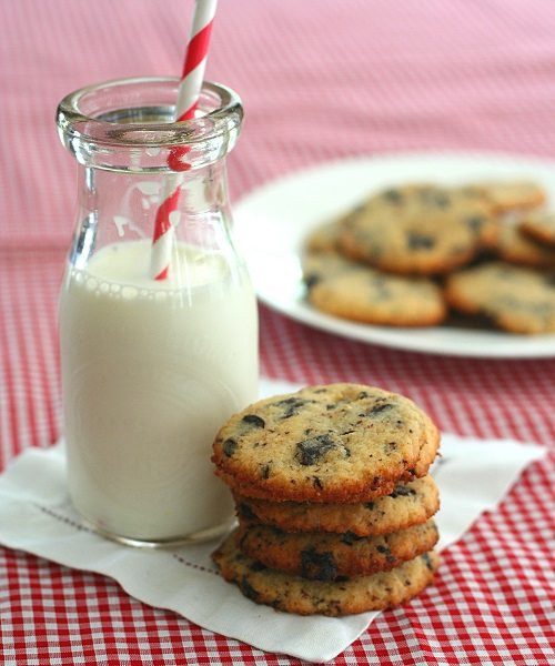 Low Carb Coconut Flour Chocolate Chip Cookies
 Low Carb Chocolate Chip Cookie Recipe
