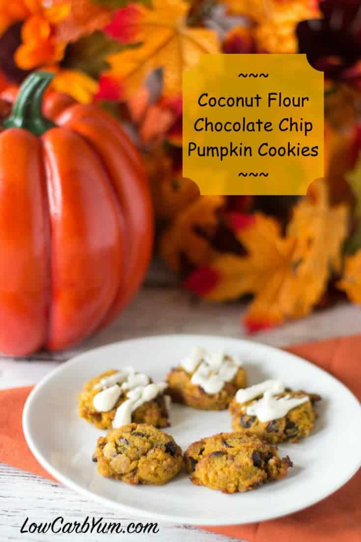 Low Carb Coconut Flour Chocolate Chip Cookies
 Chocolate Chip Pumpkin Cookies