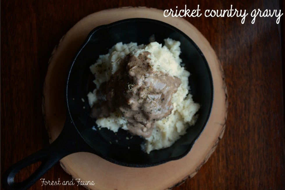 Low Carb Country Gravy
 Cricket Country Gravy