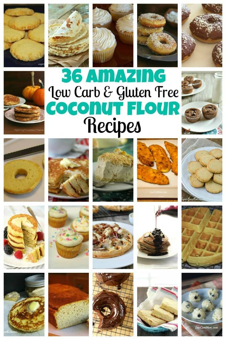 Low Carb Dairy Free Recipes
 Coconut Flour Recipes and Benefits