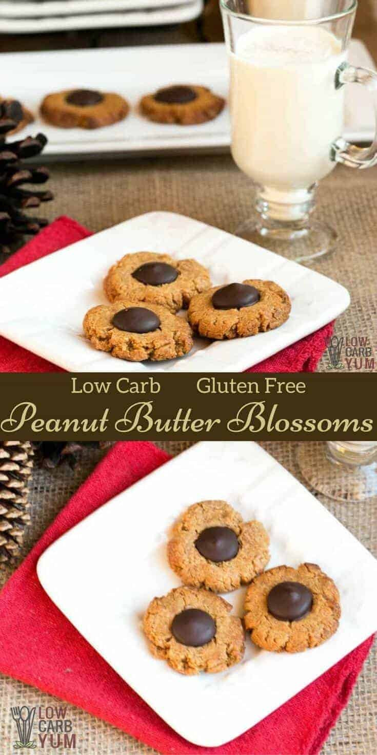 Low Carb Dairy Free Recipes
 Gluten Free Peanut Butter Blossoms Recipe Low Carb