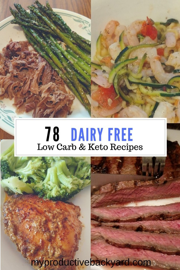 Low Carb Dairy Free Recipes
 78 Dairy Free Low Carb Keto Recipes My Productive Backyard