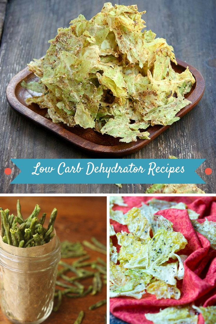 Low Carb Dehydrator Recipes
 Dehydrator Recipes Veggies – Besto Blog