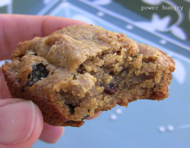 Low Carb Flax Seed Recipes
 flax seed cookie recipes