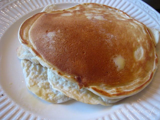 Low Carb High Protein Pancakes
 scratch made wife High Protein Low Carb "Pancakes"