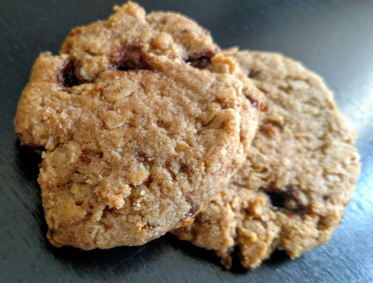 Low Carb Oatmeal Cookies Recipe
 Low Carb High Protein Sea Salt Caramel Oatmeal Cookies At