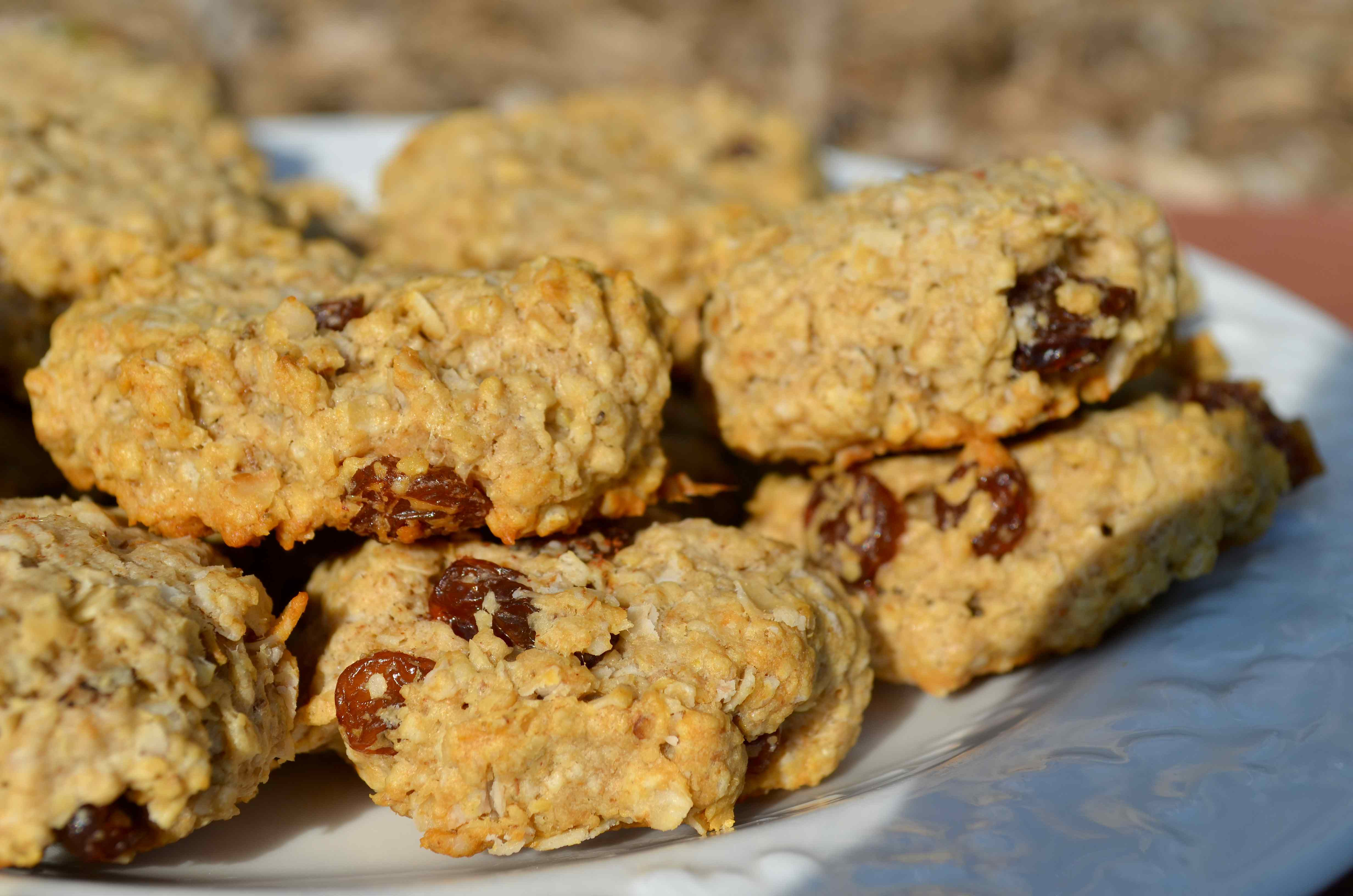 Low Carb Oatmeal Cookies Recipe
 Sugar Free Low Fat Low Carb Mini Oatmeal Raisin Cookies