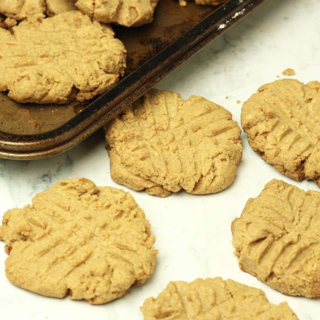 Low Carb Pb2 Recipes
 low carb peanut butter cookies with pb2