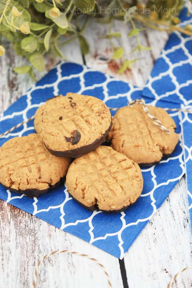 Low Carb Pb2 Recipes
 low carb peanut butter cookies with pb2