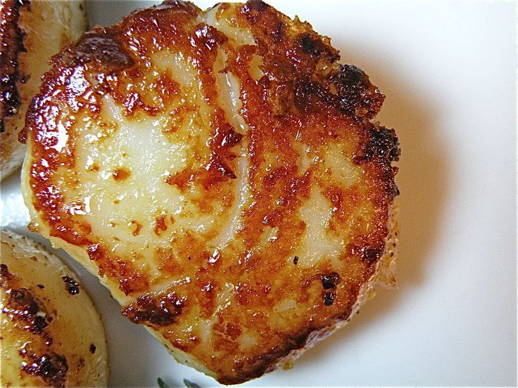 Low Carb Scallop Recipes
 35 best images about YUMM
