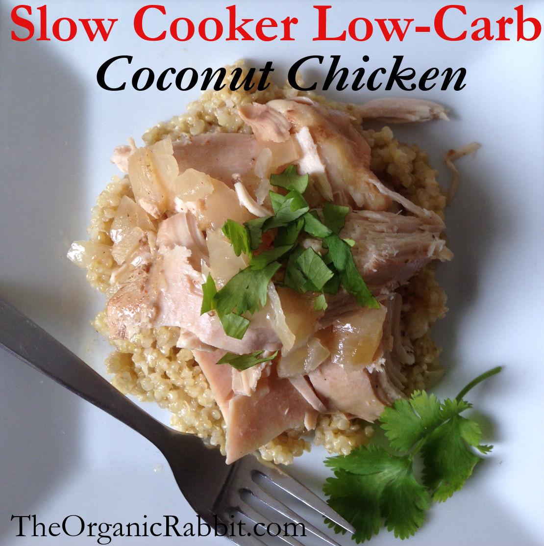 Low Carb Slow Cooker Chicken Recipes
 paleo low carb protein coconut chicken slow cooker weight