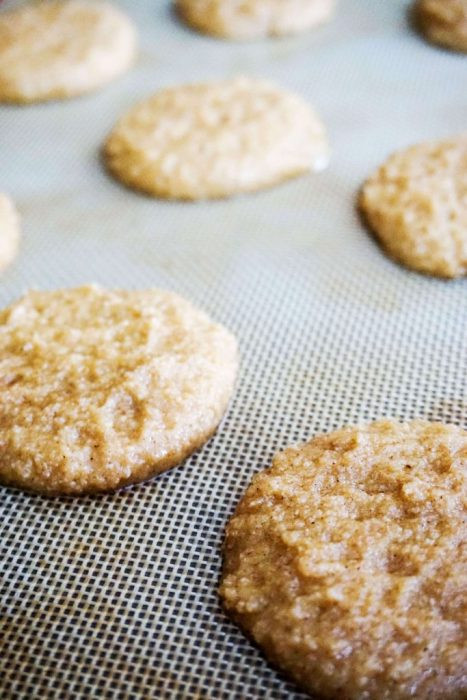 Low Carb Snickerdoodles
 Low Carb Snickerdoodle