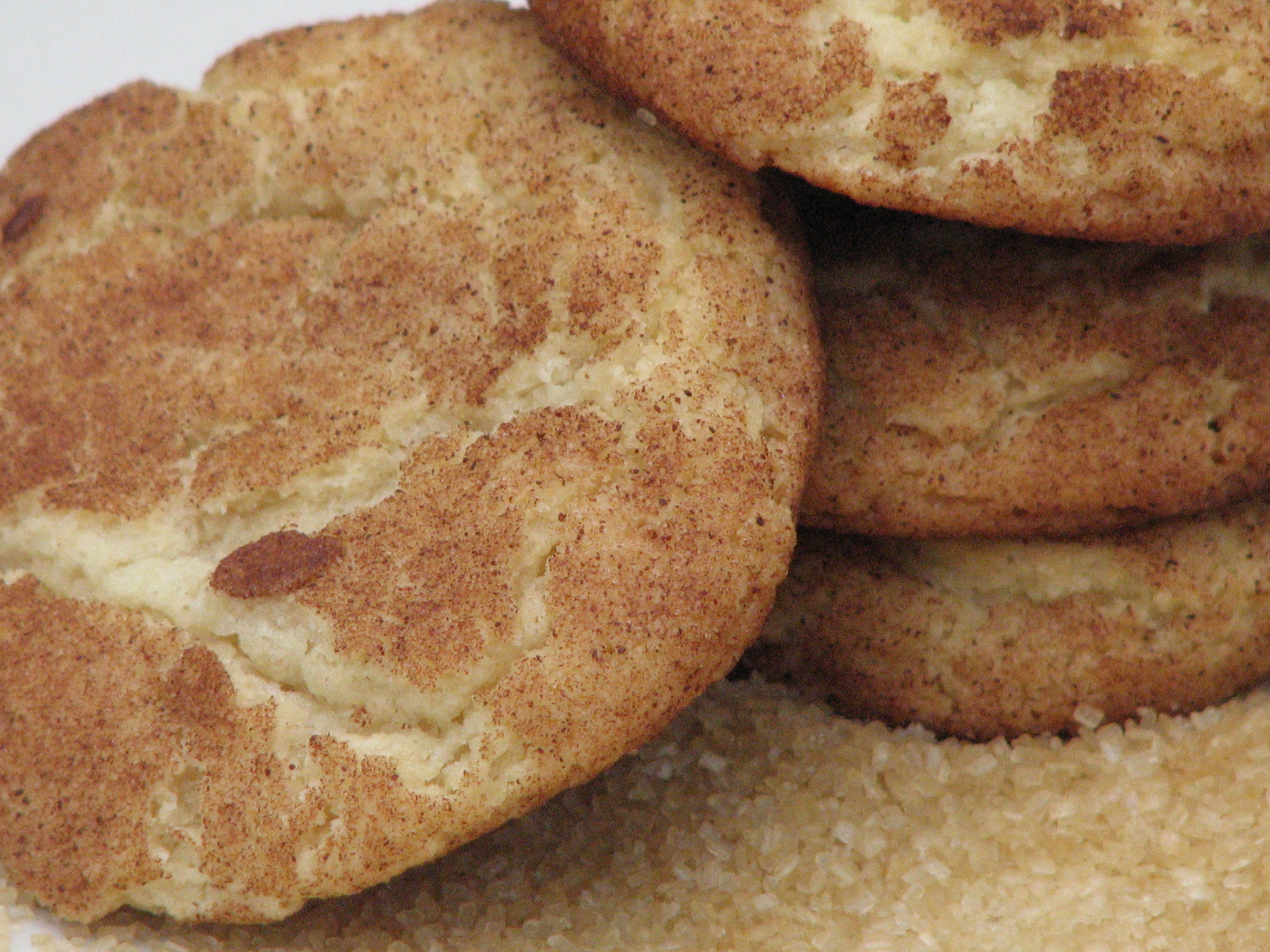 Low Carb Snickerdoodles
 Catching Pennies