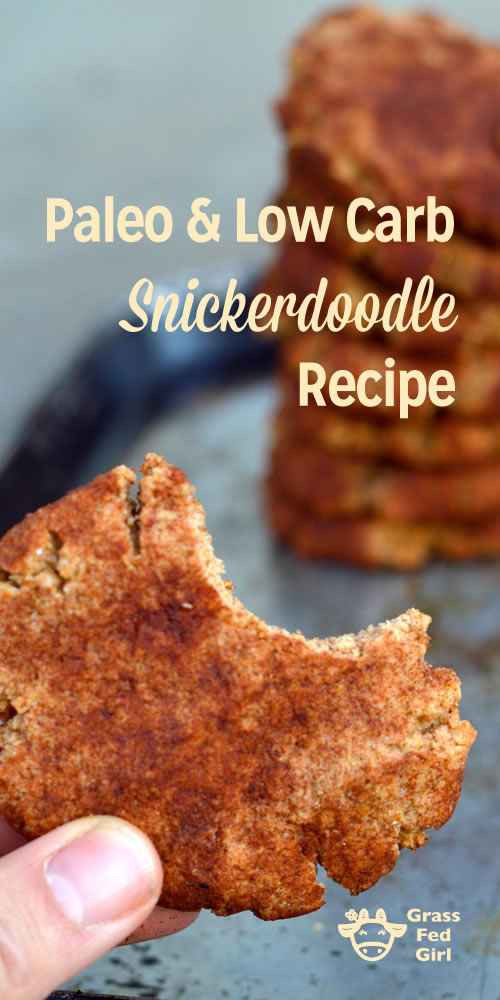 Low Carb Snickerdoodles
 Paleo and Low Carb Snickerdoodle Recipe gluten free and