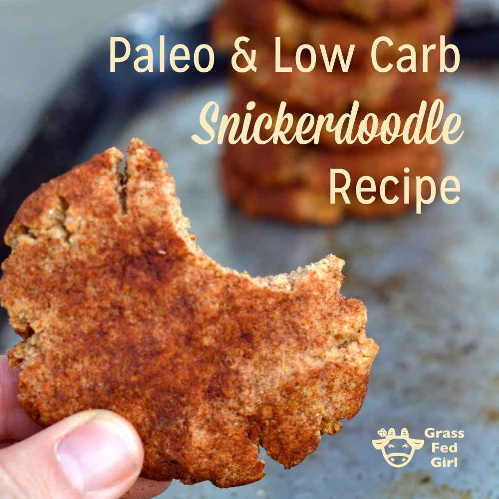 Low Carb Snickerdoodles
 Paleo and Low Carb Snickerdoodle Recipe gluten free and