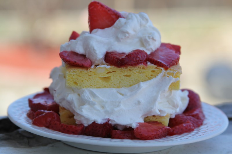 Low Carb Strawberry Shortcake
 5 ways to fight cold and flu germs