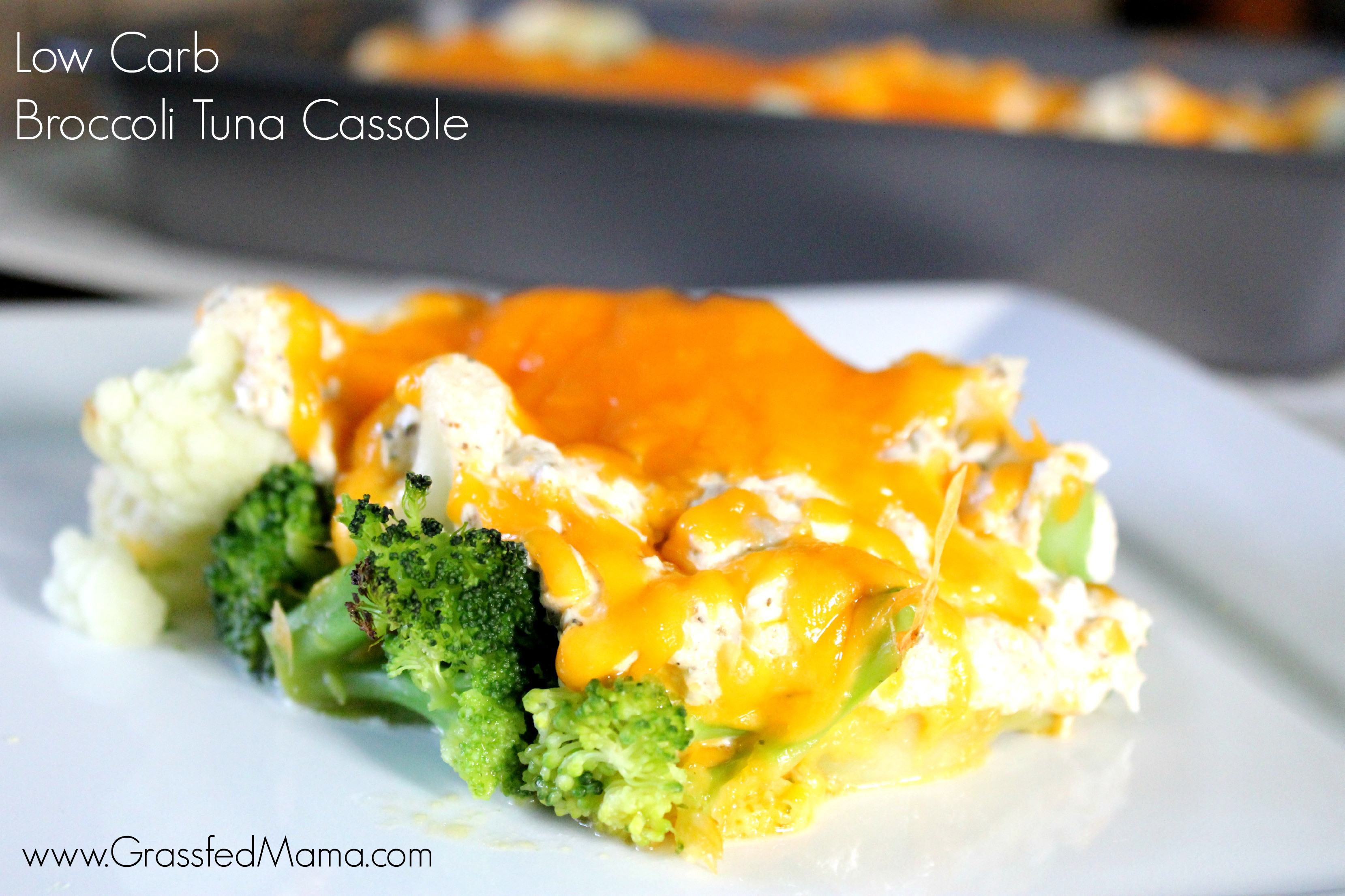 Low Carb Tuna Noodle Casserole
 Low Carb Broccoli Tuna Casserole Bake Grassfed Mama