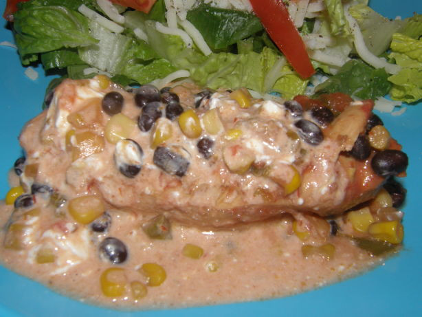 Low Cholesterol Crock Pot Recipes
 Low Fat Crock Pot Mexican Cheesy Chicken With Black Beans