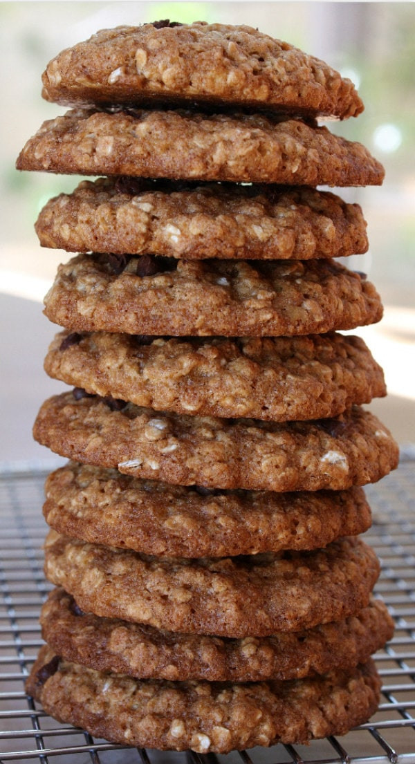 Low Cholesterol Oatmeal Cookies
 Low Fat Oatmeal Chocolate Chip Cookies Recipe — Dishmaps