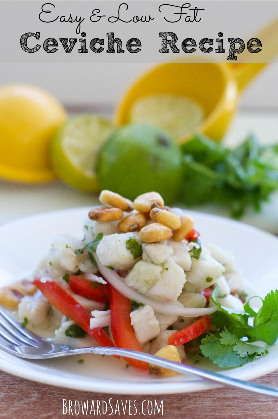 Low Fat Appetizer Recipes
 Healthy Easy Ceviche Recipe Living Sweet Moments