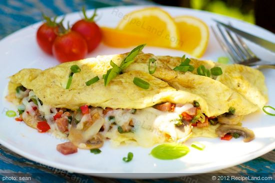 Low Fat Breakfast Recipes
 Low Fat Breakfast Omelet Recipe