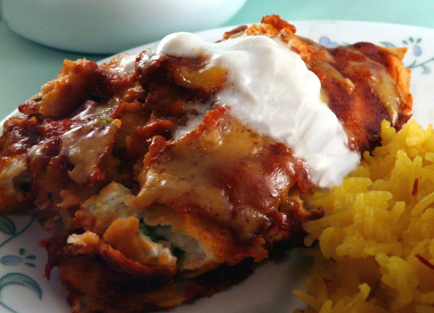 Low Fat Chicken Enchiladas
 Low Fat Chicken Enchiladas With High Fat Taste Recipe