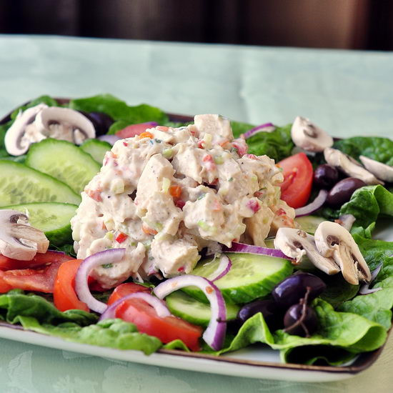 Low Fat Chicken Salad
 Rock Recipes The Best Food & s from my St John s