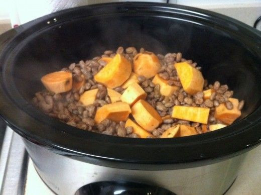 Low Fat Dog Food Recipes
 17 Best ideas about Low Fat Dog Food on Pinterest