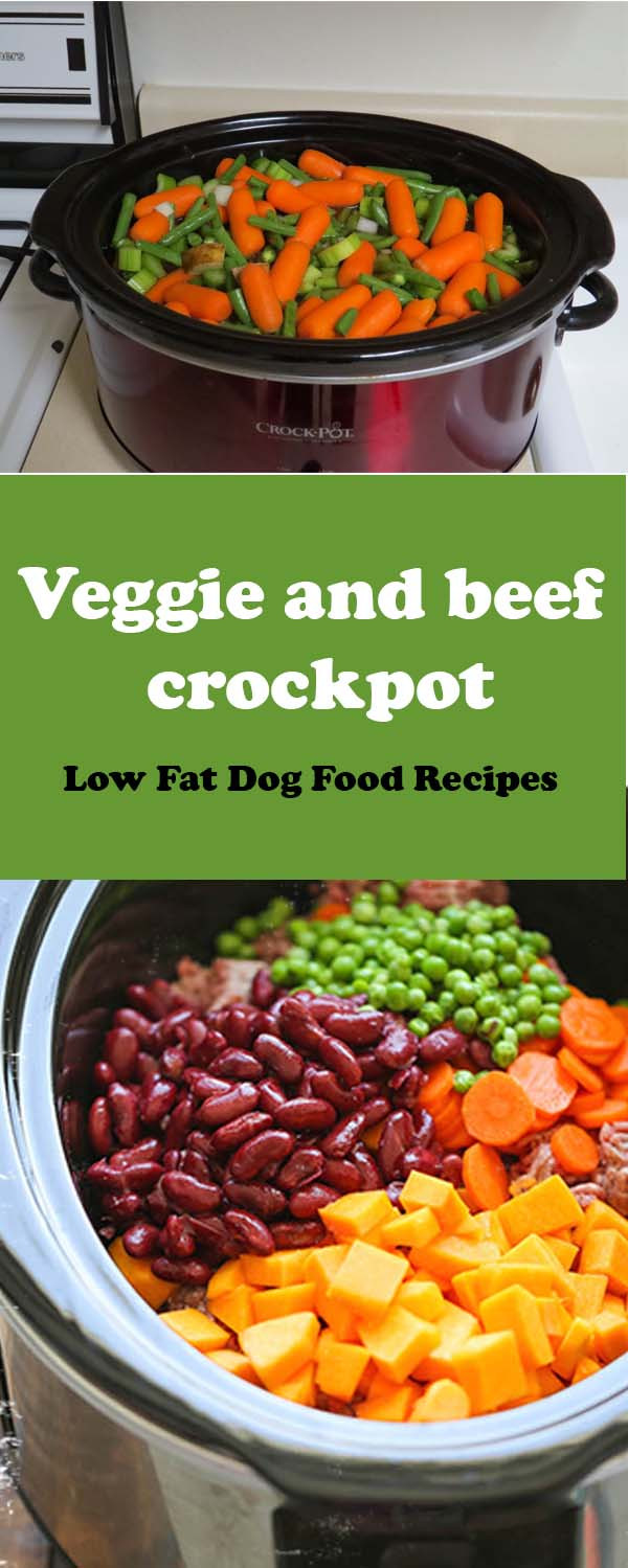 Low Fat Dog Food Recipes
 DIY Low Fat Dog Food Recipes 7 Homemade Canine