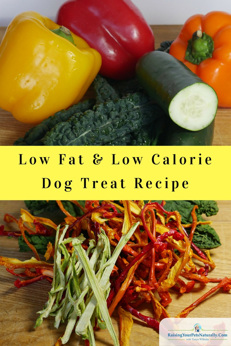 Low Fat Dog Food Recipes
 Low Fat and Low Calorie Dog Treats