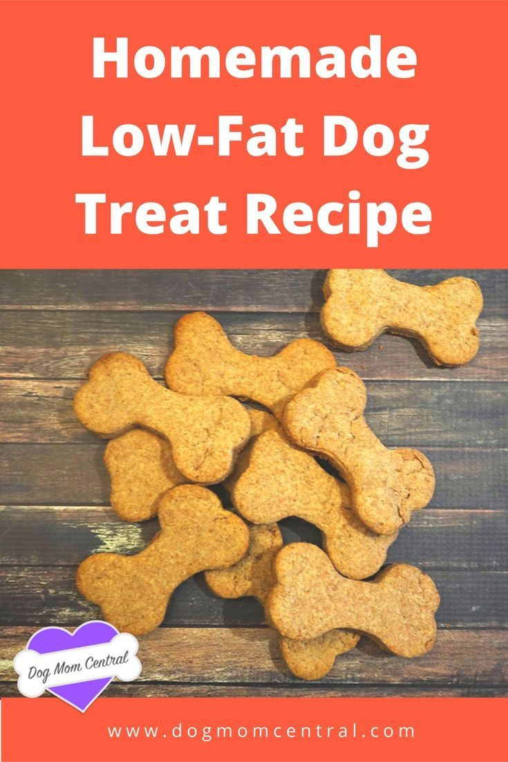 Low Fat Dog Treat Recipes
 25 best ideas about Fat Dogs on Pinterest
