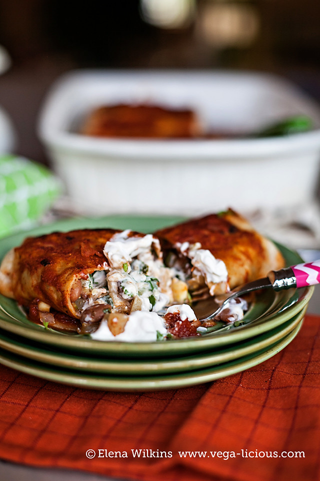 Low Fat Enchiladas
 Low Fat Vegan Bean Enchilada Recipe