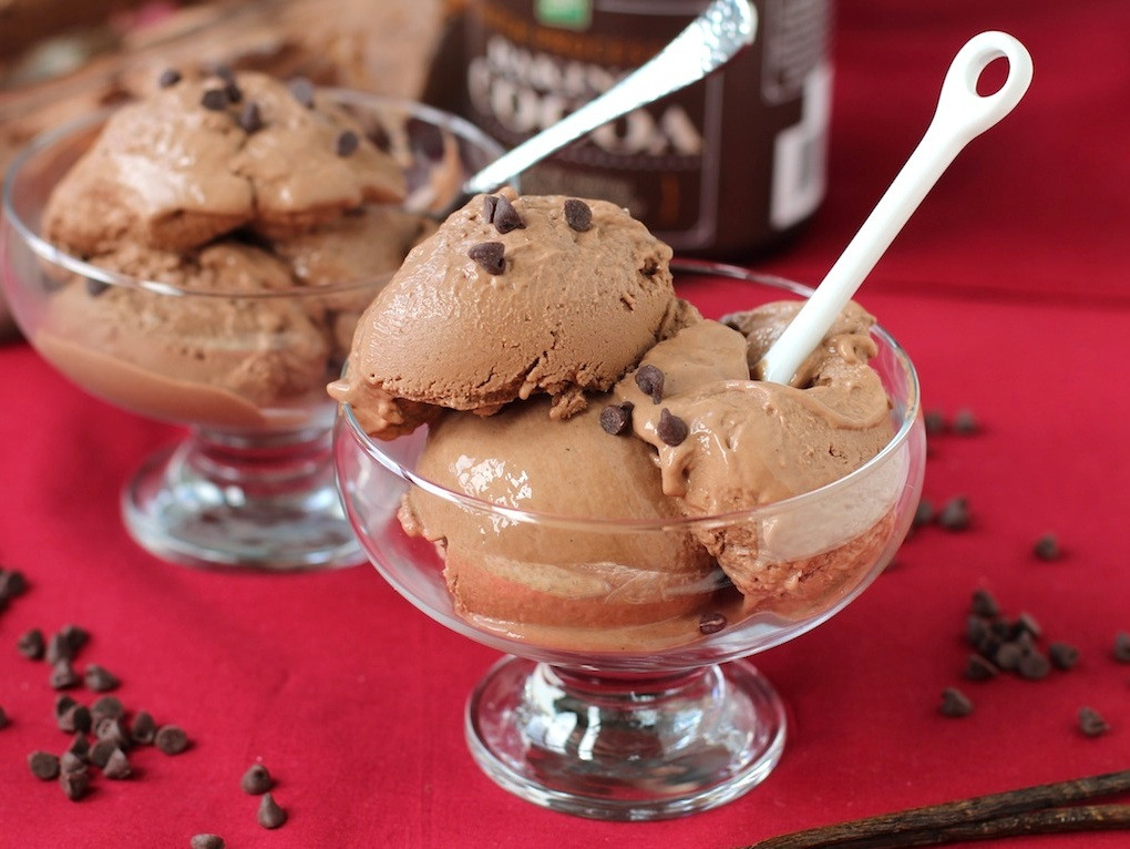 Low Fat Ice Cream Recipes For Cuisinart Ice Cream Makers
 Sugar Free Yogurt