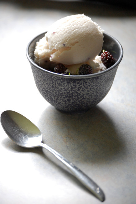 Low Fat Ice Cream Recipes For Cuisinart Ice Cream Makers
 Easy Homemade Vanilla Berry Ice Cream