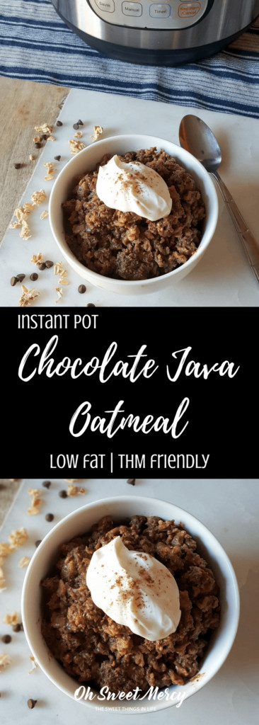 Low Fat Instant Pot Recipes
 Chocolate Java Instant Pot Oatmeal Low Fat Dairy Free